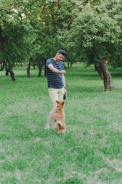 Adam parkta köpek eğitiyor. Yaz parkında köpek gezdiren genç bir adam.