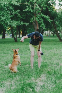 Adam parkta köpek eğitiyor. Yaz parkında köpek gezdiren genç bir adam.