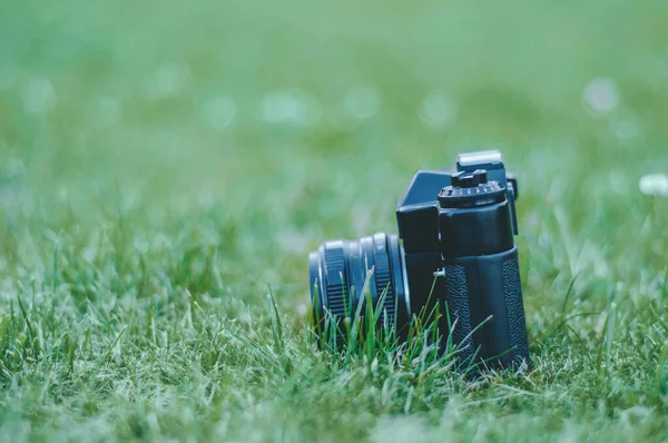 Vntage Kamera Koffer Auf Frühlingsgrünem Gras Hintergrund — Stockfoto