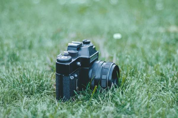 Vntage camera in case on spring green grass background