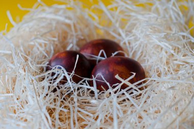 Yuvadaki çiğ beyaz tavuk yumurtalarının yakın çekim görüntüsü