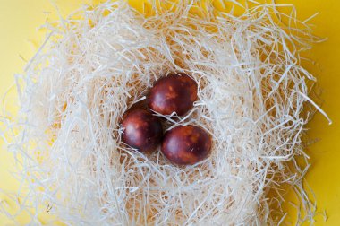 Yuvadaki çiğ beyaz tavuk yumurtalarının yakın çekim görüntüsü
