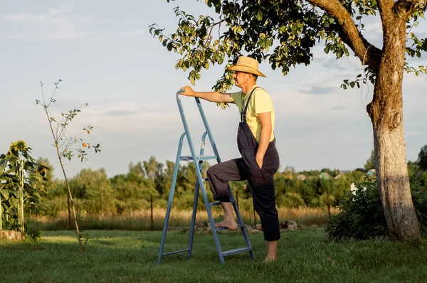 Fermierul Taie Măsline Foarfece Tânăr Fermier Grădină — Fotografie, imagine de stoc