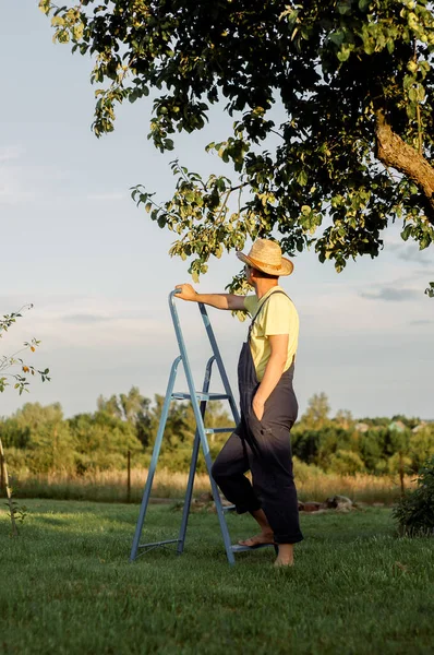 Fermierul Taie Măsline Foarfece Tânăr Fermier Grădină — Fotografie, imagine de stoc