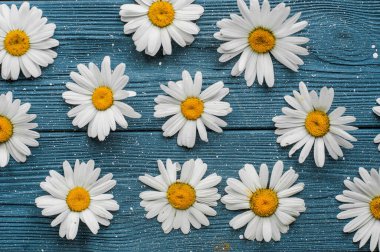 Mavi ahşap masadaki papatyalar