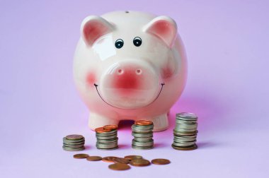 Arka planda bozuk paralar olan pembe kumbaranın üst görüntüsü 