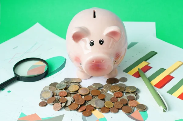 Pink Piggy Bank Coins Isolated Color — Stock Photo, Image