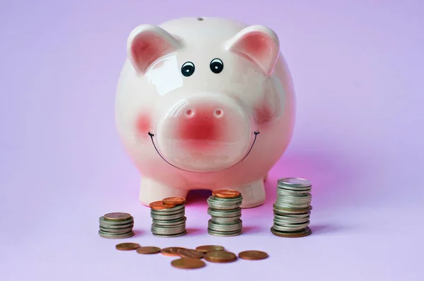 Arka planda bozuk paralar olan pembe kumbaranın üst görüntüsü 