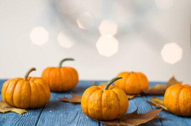 Kabaklar ve kabaklar ve sonbahar yaprakları, metin için boşluk