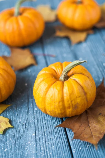 Pumpar Och Squash Och Höstlöv Utrymme För Text — Stockfoto