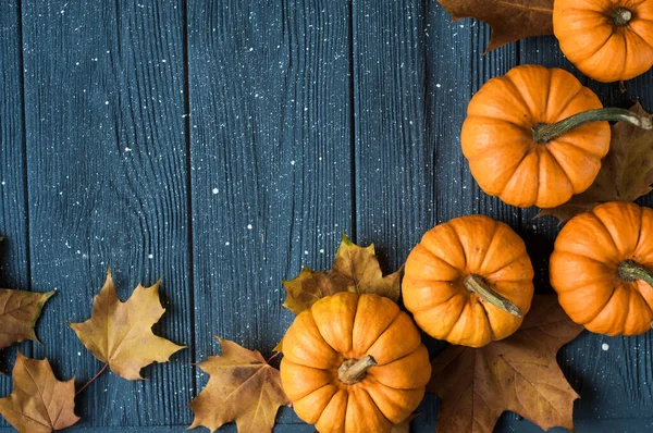 Pumpkins Squashes Autumn Leaves Space Text — Stock Photo, Image