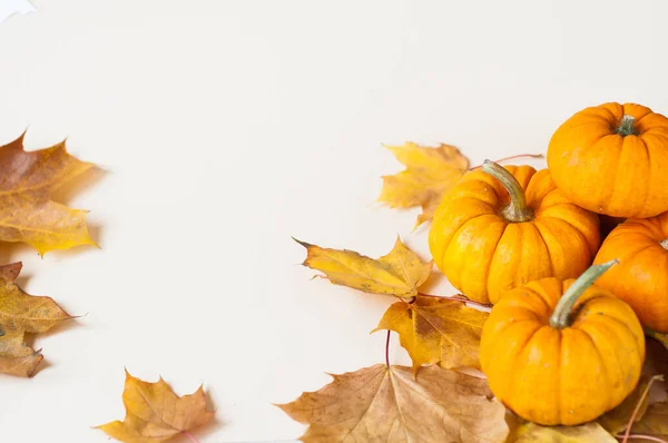 Sfondo Zucche Foglie Autunnali Colorate Concetto Stagione Autunnale Concetto Halloween — Foto Stock