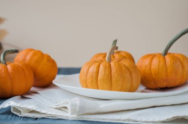 Sonbahar balkabağı çikolatalı kekler. Parlak beyaz ahşap bir arka planda üst görünüm masası sahnesi.