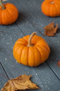 Sonbahar Balkabağı Şükran Günü Arkaplanı - Masanın üzerinde portakal kabakları, üst manzara