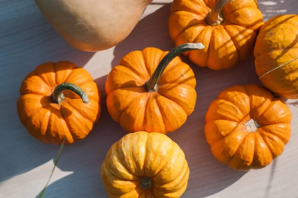 Zucche Arancioni Halloween Pila Fieno Paglia Nella Giornata Sole Esposizione — Foto Stock