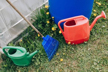 Yeşil bir bahçede çok renkli farklı boyutlarda su bidonları duruyor. Küçük yardımcı, bahçıvan, bahar mahsulü, yaz havası.