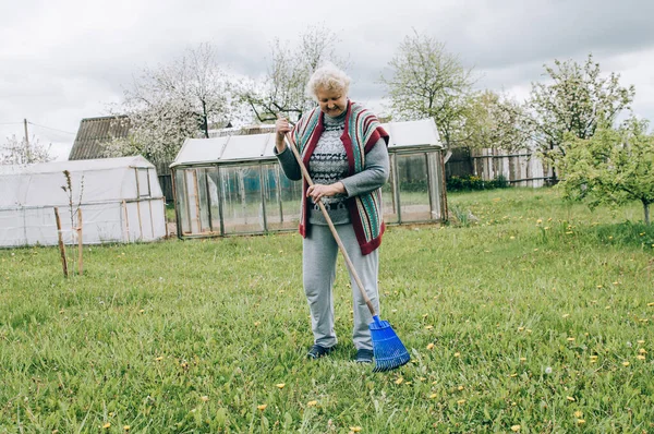 Wanita Senior Yang Lebih Tua Menanam Sayur Sayuran Kebun Pada — Stok Foto