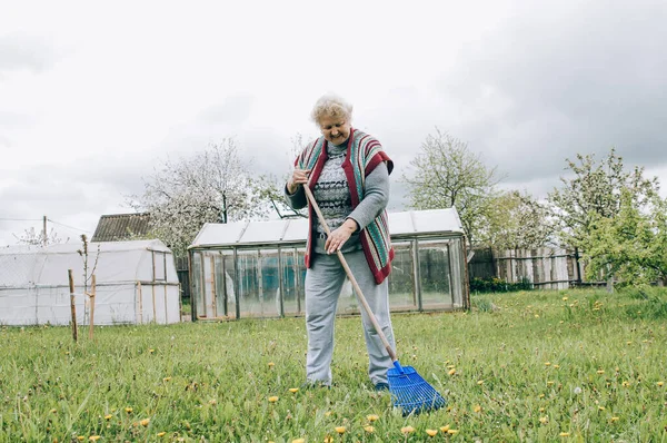 Wanita Senior Yang Lebih Tua Menanam Sayur Sayuran Kebun Pada — Stok Foto