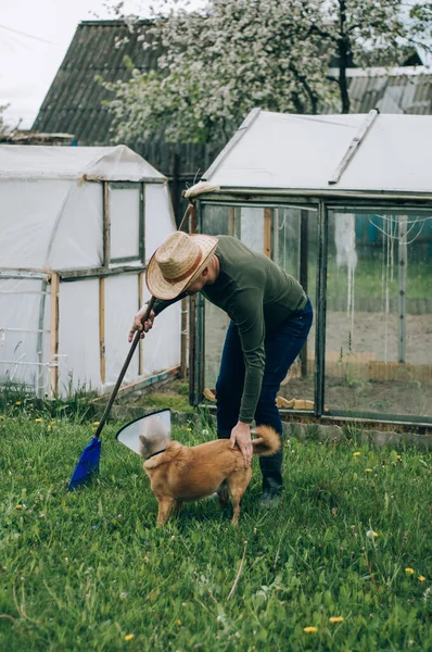 Tukang Kebun Senior Dengan Sekop Kebun Tukang Kebun Laki Laki — Stok Foto