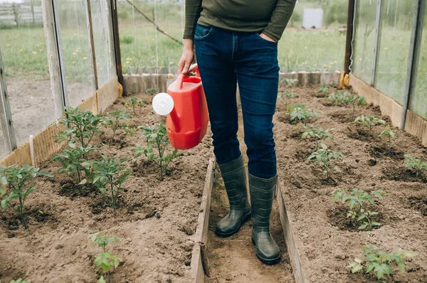 Agricultură Grădinărit Agricultură Conceptul Oameni Senior Fericit Udare Poate Fermă — Fotografie, imagine de stoc