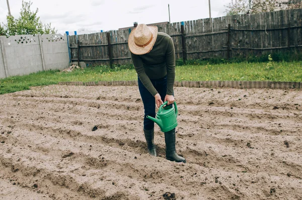 Smart Pertanian Menggunakan Teknologi Modern Dalam Pertanian Seorang Petani Agronomis — Stok Foto
