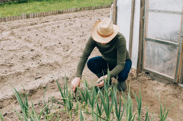 Petani Bekerja Kebun Dan Mencari Tanaman — Stok Foto