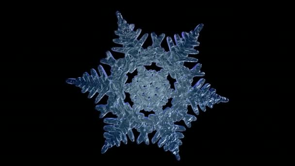 Сніжинка Вбудованою Матовою Ламою Цикл Анімації Ілюстрація — стокове відео
