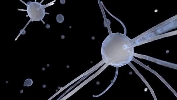 ニューロン 神経細胞 成長型ニューラル ネットワーク 次元空間の抽象の神経細胞 科学的な医療の背景 微生物学の研究 — ストック動画