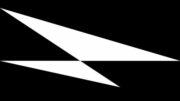 White Flashing Random Triangles Black Background — Stock Video