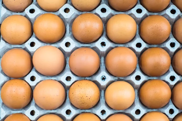 Kurczak Jaj Papier Panele Wartości Odżywcze Mają Całkowicie Lecytyna Białka — Zdjęcie stockowe