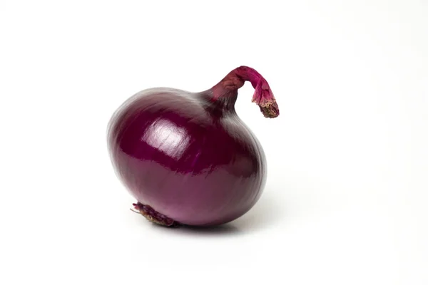 Rode Allium Cepa Verse Geïsoleerd Een Plant Die Gebruikmaakt Van — Stockfoto