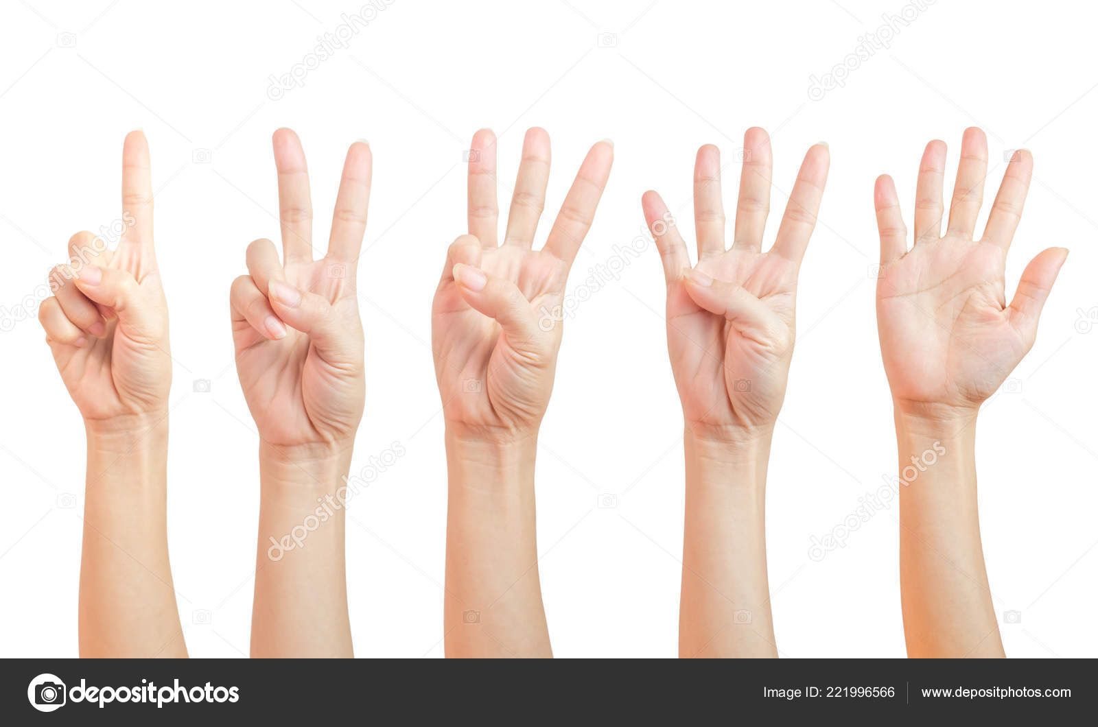 Hand count, gesture hand one, two, three, four, five, count to
