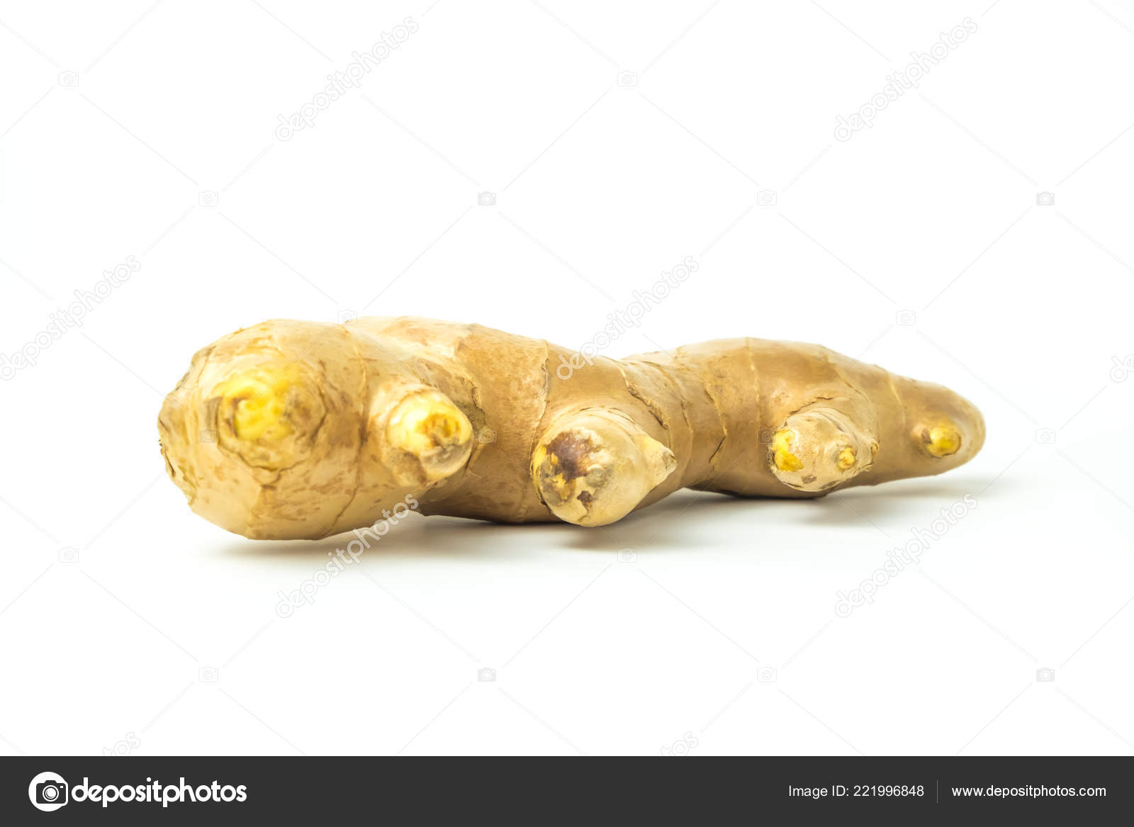 Jengibre Fresco Aislado Una Planta Raices Con Propiedades