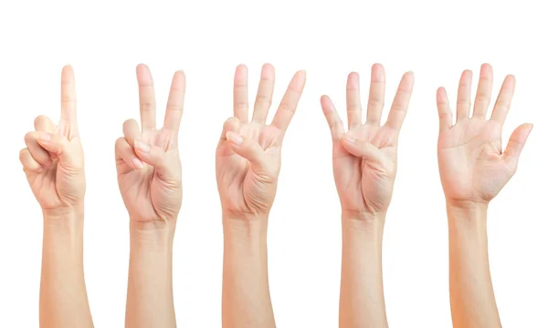 妇女的手的迹象正在计数 使用手指符号 在白色背景和剪裁路径上隔离的一组数字二 — 图库照片
