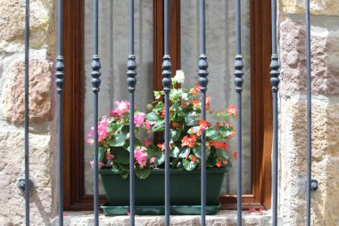 güzel çiçekli balkon çok özgün ve renkli