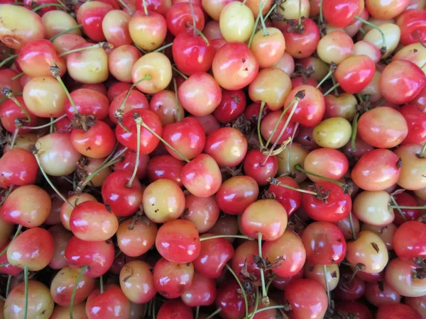 Cerejas Apenas Disse Apetitoso Pronto Para Venda — Fotografia de Stock