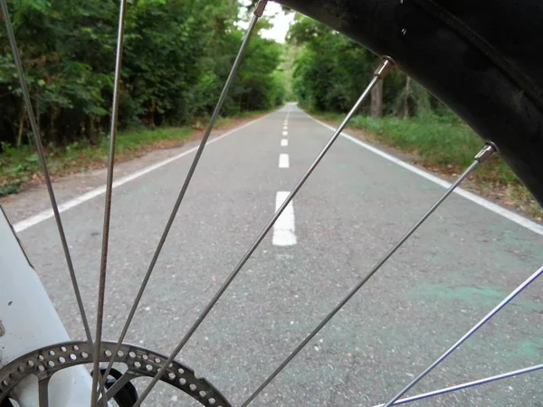 Piste Cyclable Vue Depuis Une Roue Vélo — Photo