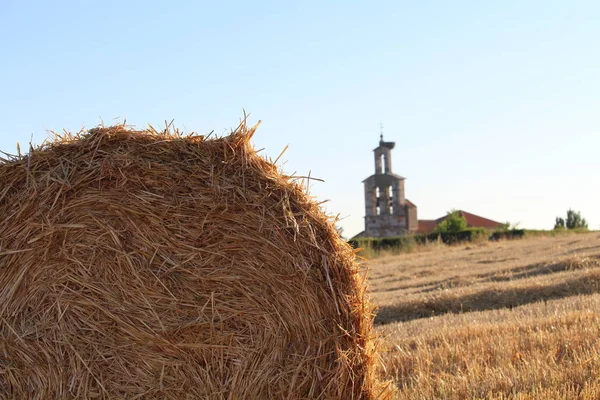 Grande Paglia Alpaca Essiccazione Rotonda Sole — Foto Stock