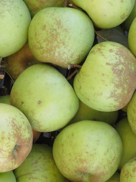 Güzel renk ve daha iyi tat ile lezzetli meyve