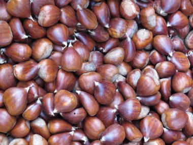 Lezzetli kestane ile muhteşem bir renk çok çekici