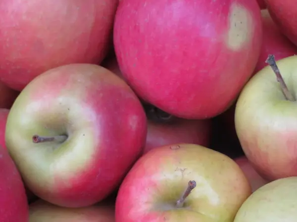 맛있는 사과는 색깔로 매력적 — 스톡 사진