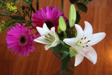 Çok güzel tropikal çiçekler çok büyük ve harika kokuyor.