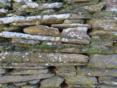 Güzel eski taş duvar ve çok güzel ve büyük güzellik