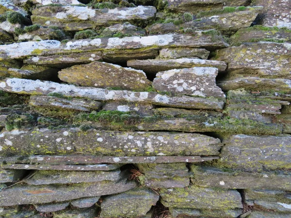 Güzel eski taş duvar ve çok güzel ve büyük güzellik