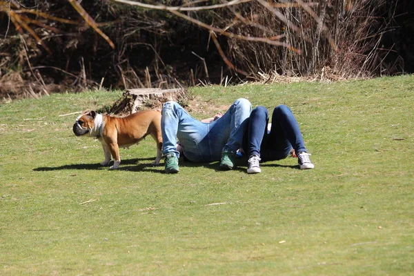 Ludzie z psem w parku, leżąc na trawie — Zdjęcie stockowe