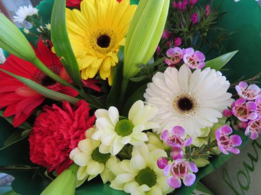 Bir rengi ve kokusu çok güzel harika çiçekler