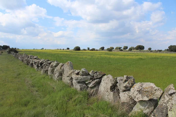 Krásná kamenná zeď, která odděluje pole a zvířata — Stock fotografie