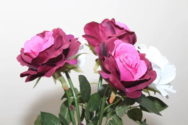 Schöne Blumen von intensiven Farben und von großer Schönheit — Stockfoto