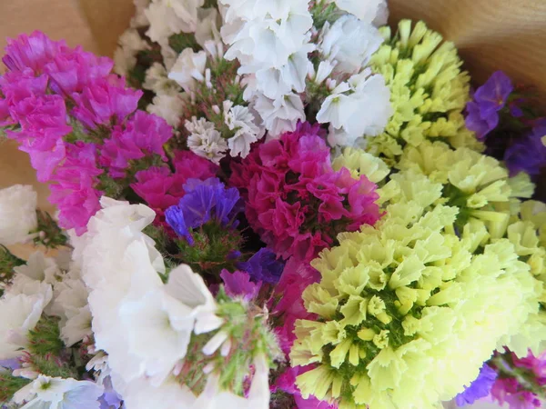 Wunderbare Blumen mit einer Farbe und einem so guten Geruch — Stockfoto