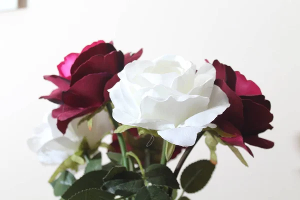 Schöne Blumen von intensiven Farben und von großer Schönheit — Stockfoto